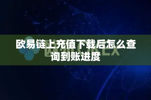 欧易链上充值下载后怎么查询到账进度